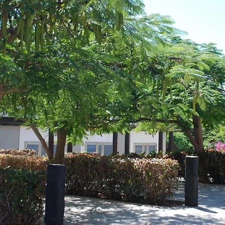 Blue Marlin 6 Villa *